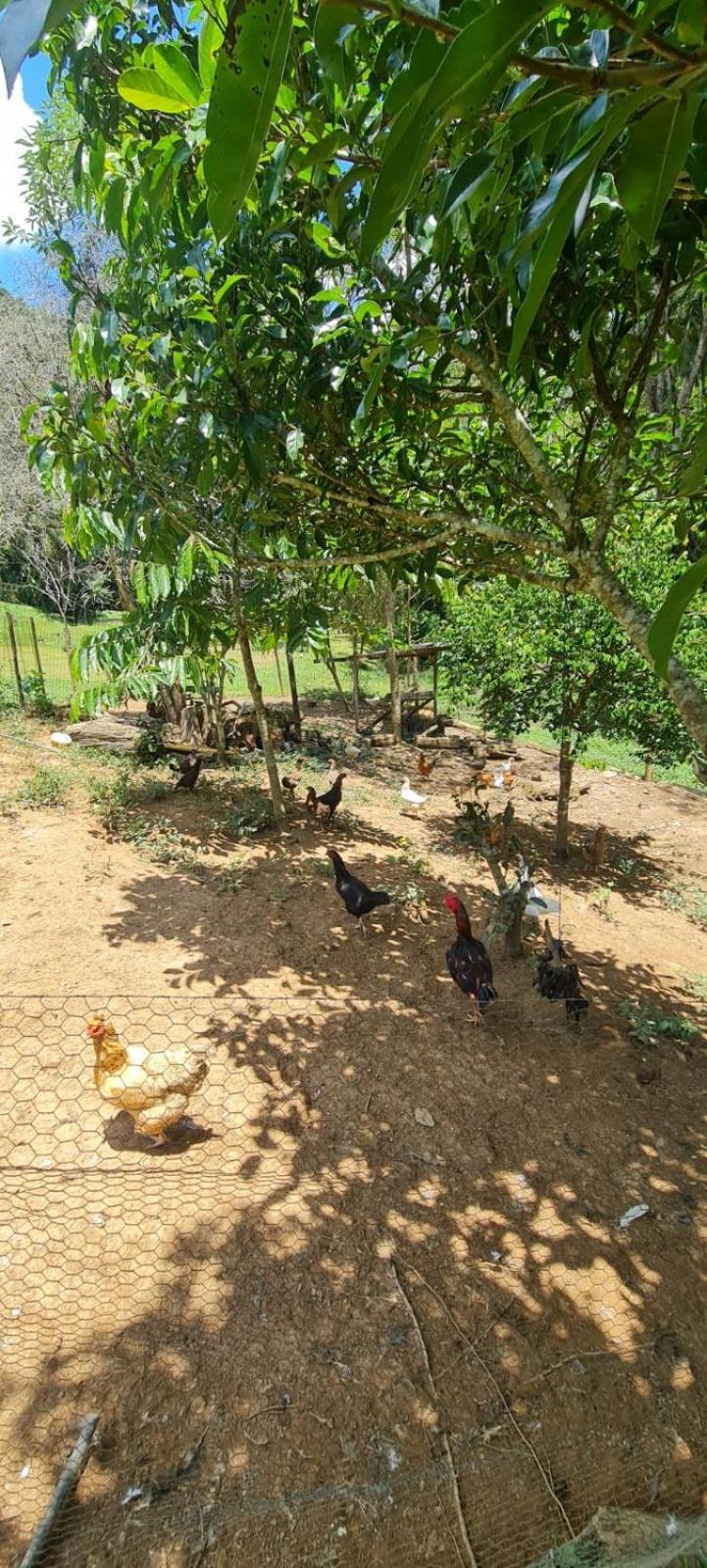 Sitio Saramandaia Vila Juquitiba Exterior foto