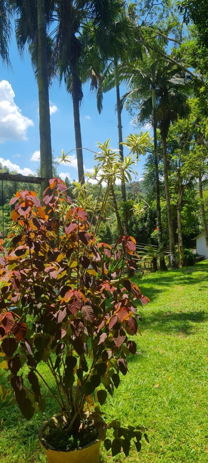 Sitio Saramandaia Vila Juquitiba Exterior foto